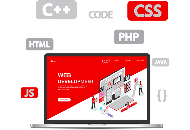 Web Development